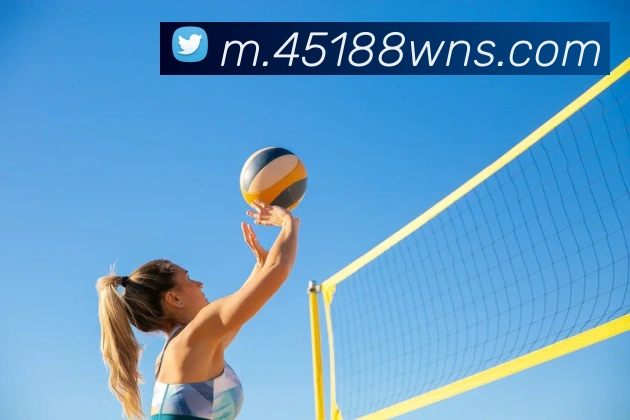 奖项证书